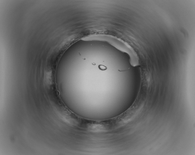 X0000112530224200908171428