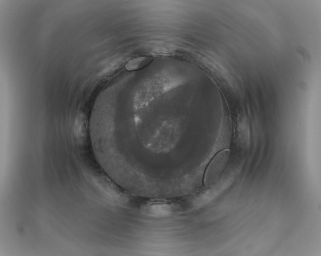 X0000112530228200908171428