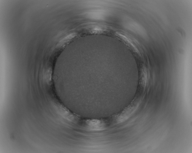 X0000112530230200908171427