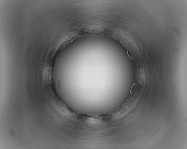 X0000112530232200908171427