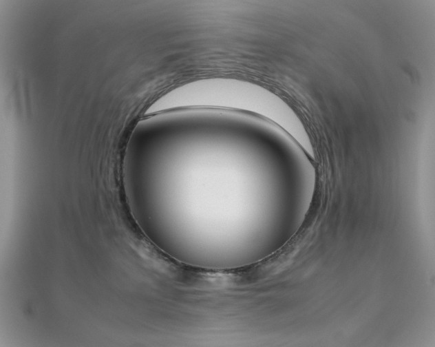 X0000112530233200908171427