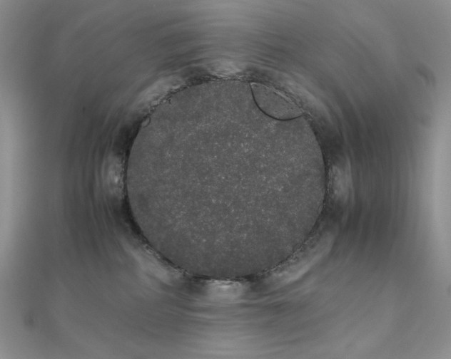 X0000112530234200908171427