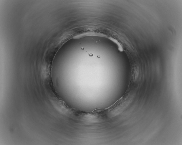 X0000112530236200908171427