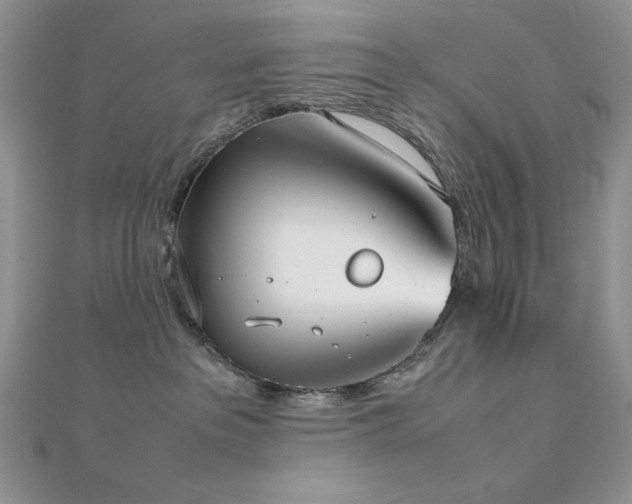 X0000112530237200908171427