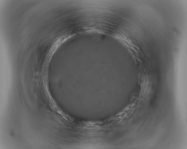 X0000112530241200908171427
