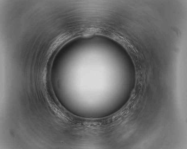 X0000112530242200908171427