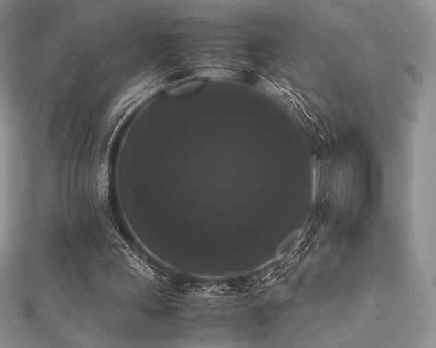 X0000112530243200908171427
