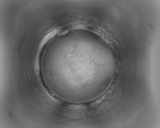 X0000112530245200908171427
