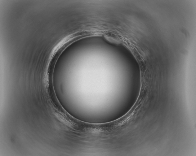 X0000112530246200908171427