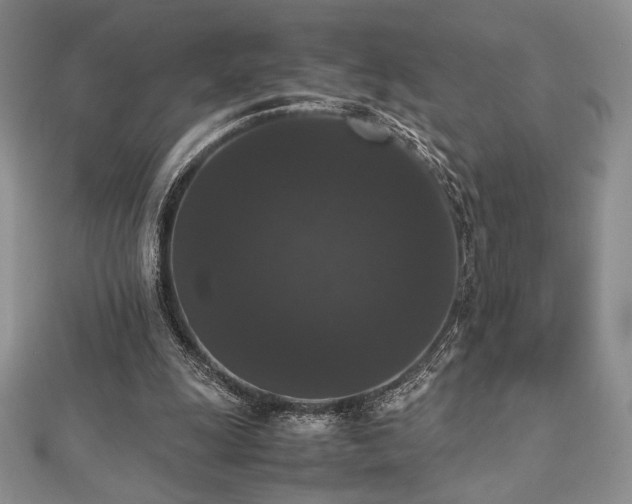 X0000112530247200908171427