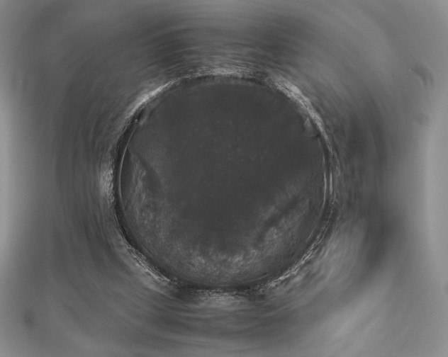 X0000112530249200908171427