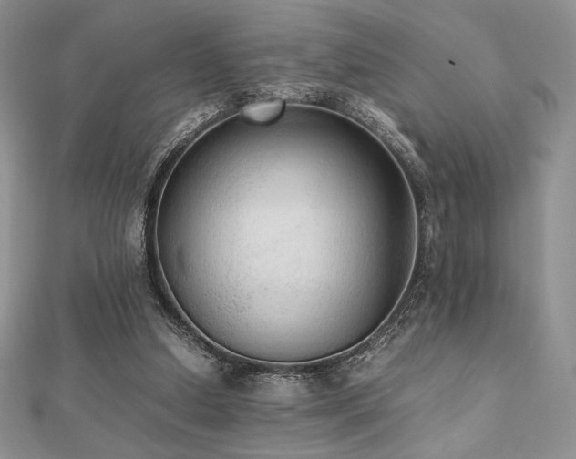 X0000112530250200908171427