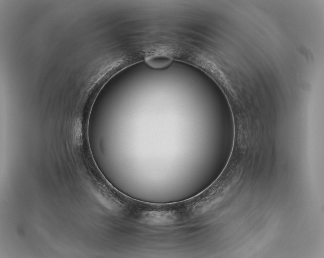 X0000112530251200908171427