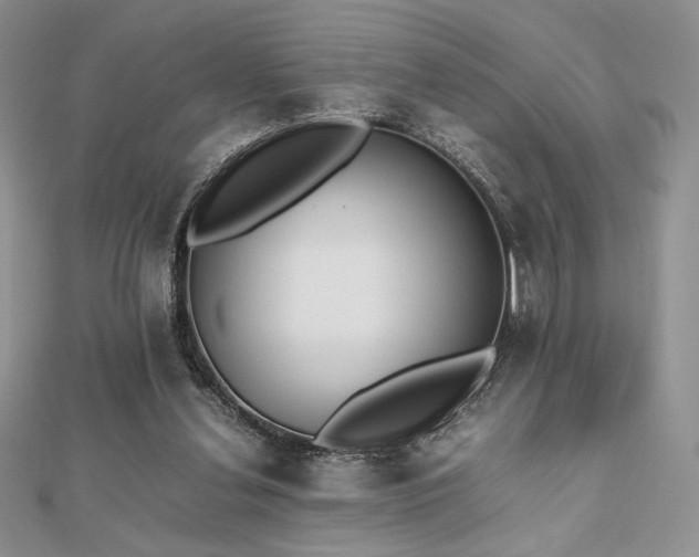 X0000112530252200908171427