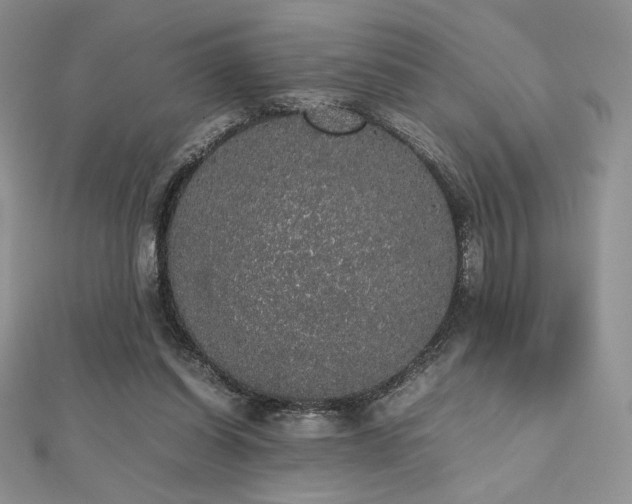 X0000112530254200908171427