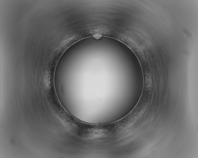 X0000112530255200908171427