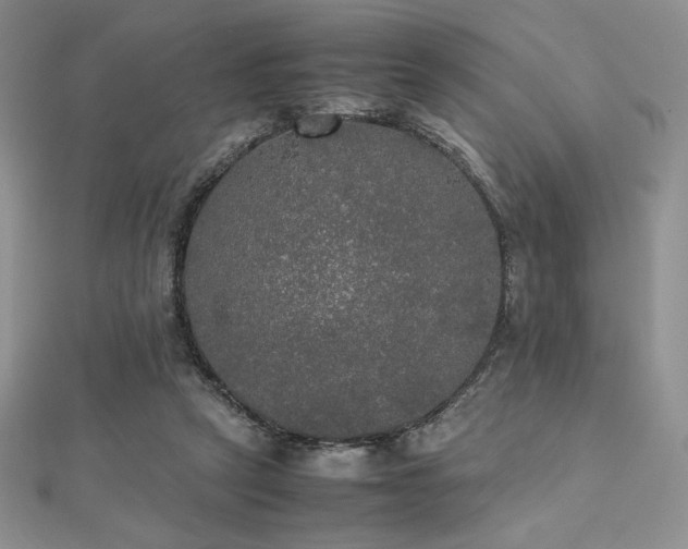 X0000112530257200908171427