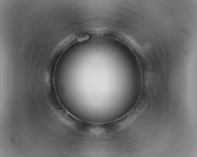 X0000112530258200908171427