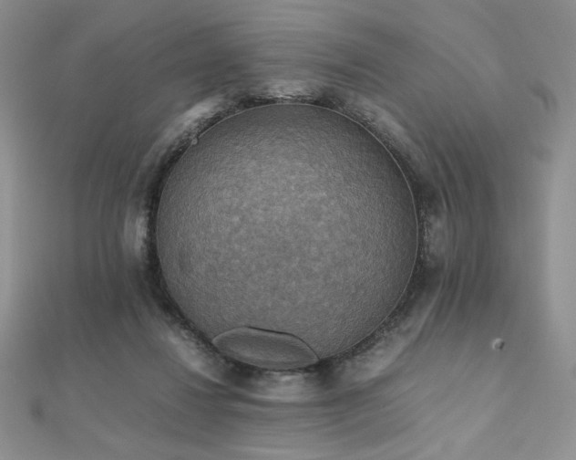 X0000112530260200908171427