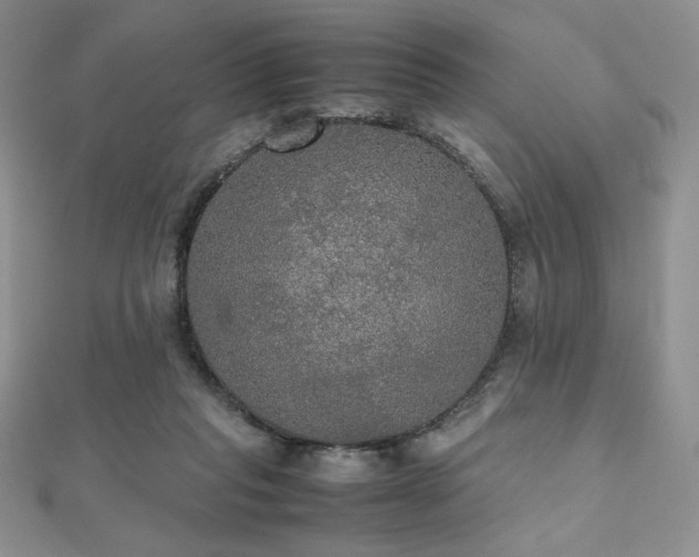 X0000112530261200908171427