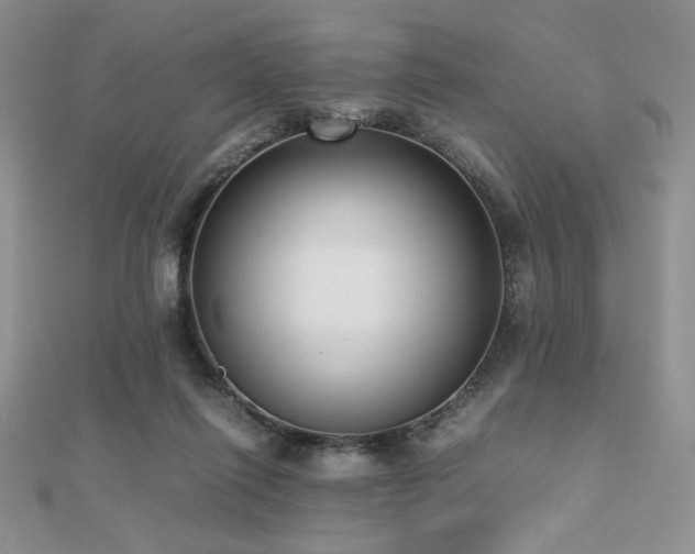 X0000112530262200908171427