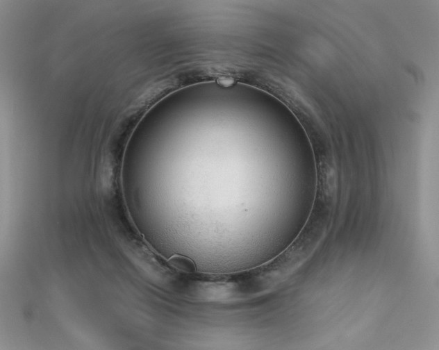 X0000112530266200908171427