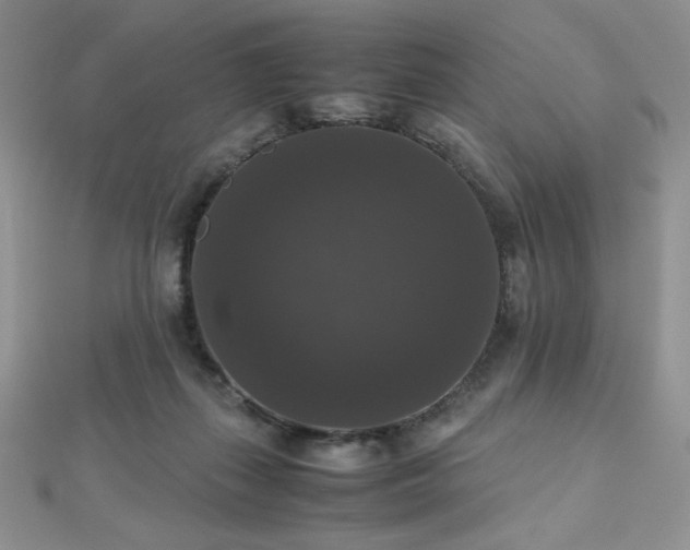 X0000112530267200908171427