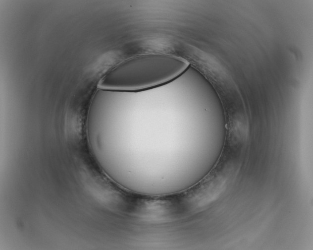 X0000112530268200908171427