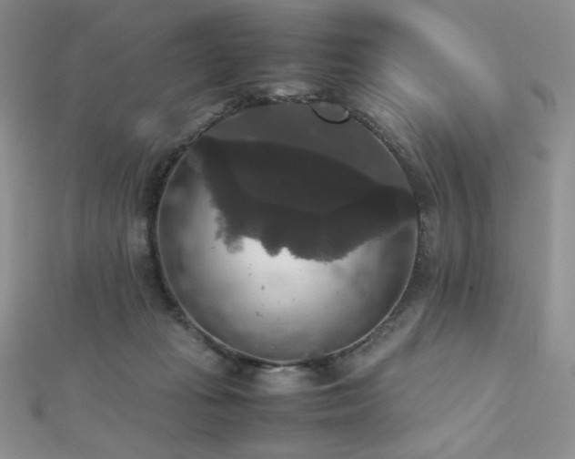 X0000112530269200908171427