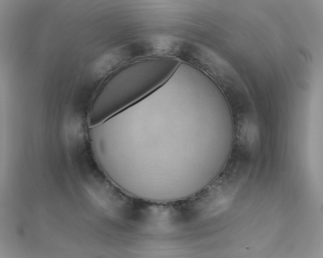 X0000112530272200908171427