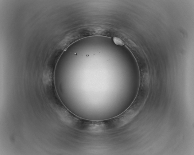 X0000112530274200908171427