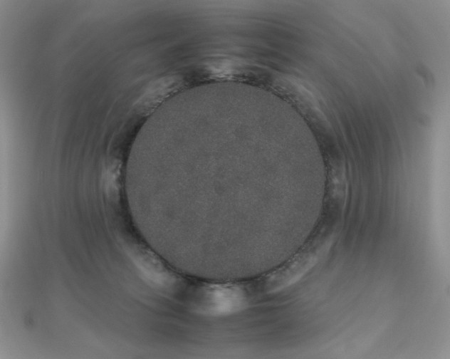 X0000112530275200908171427