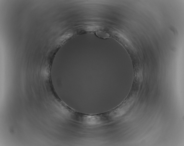 X0000112530277200908171427