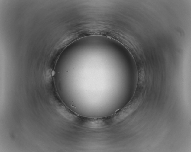 X0000112530278200908171427