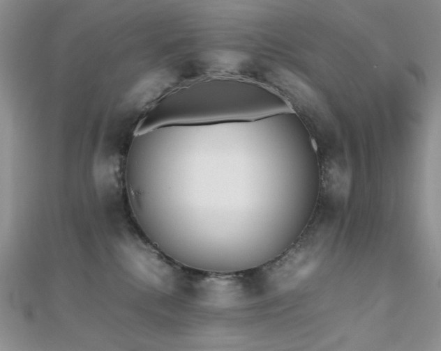 X0000112530280200908171427