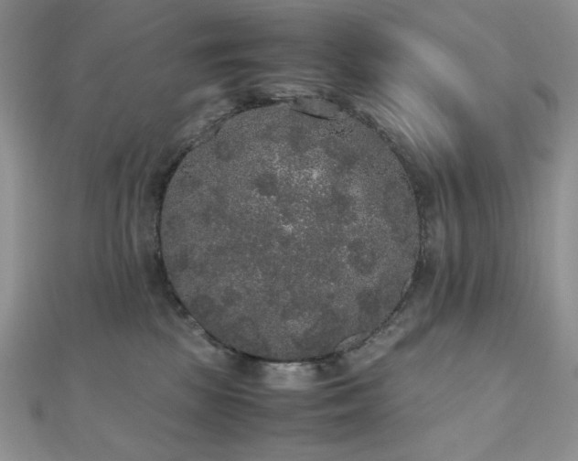 X0000112530281200908171427