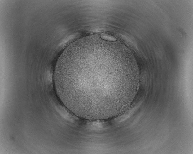 X0000112530282200908171427