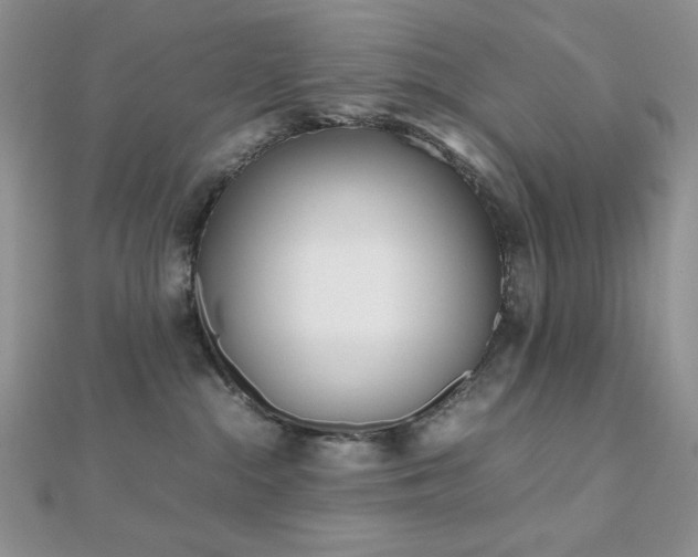 X0000112530284200908171427