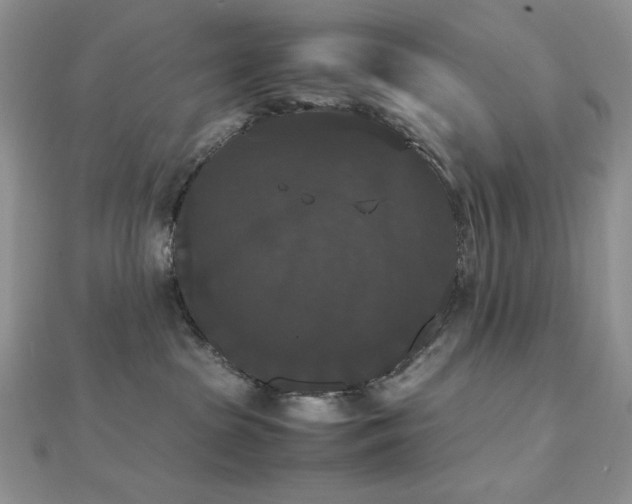 X0000112530285200908171427