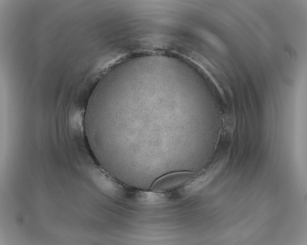 X0000112530286200908171427