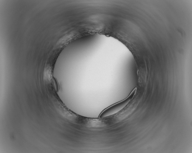 X0000112530287200908171427