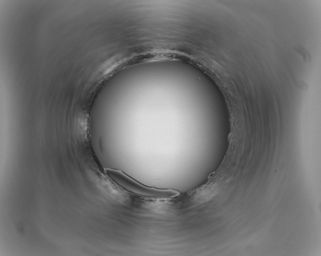 X0000112530288200908171427