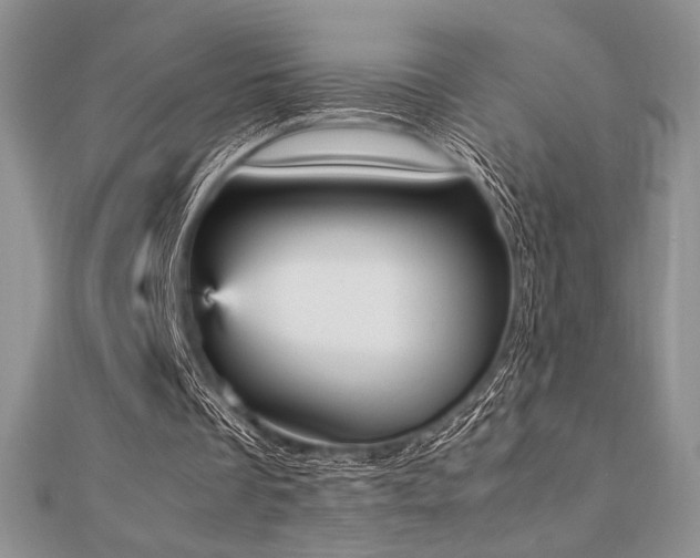 X0000112530289200908171427