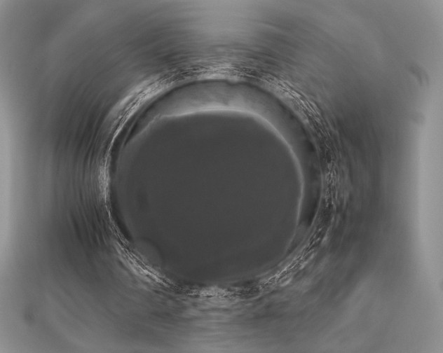 X0000112530290200908171427