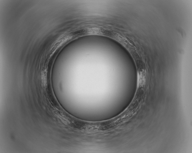 X0000112530291200908171427