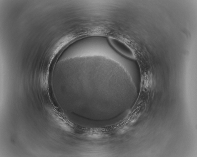 X0000112530292200908171427