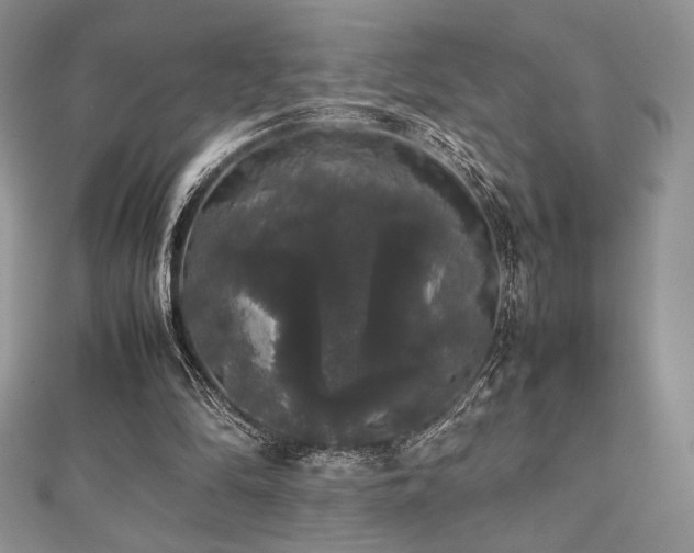 X0000112530294200908171427