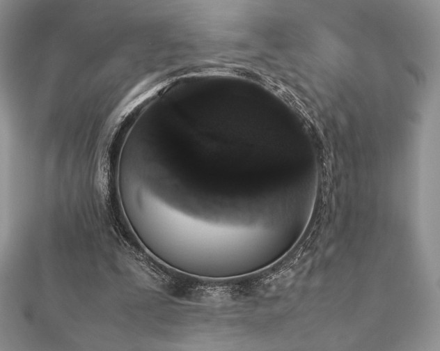 X0000112530295200908171427