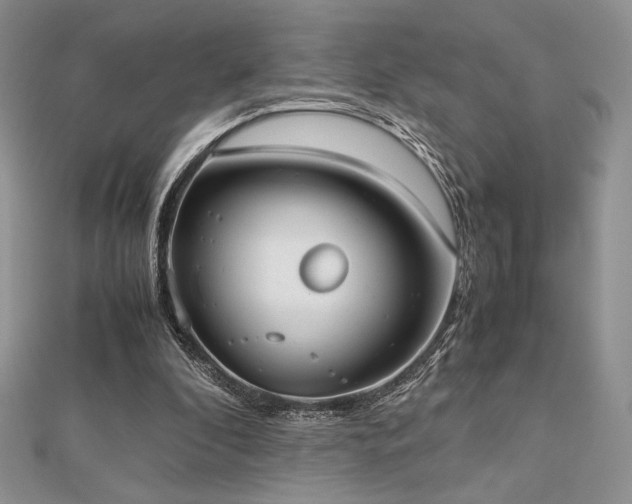 X0000112530296200908171427