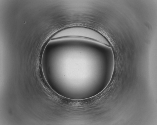 X0000112530297200908171427